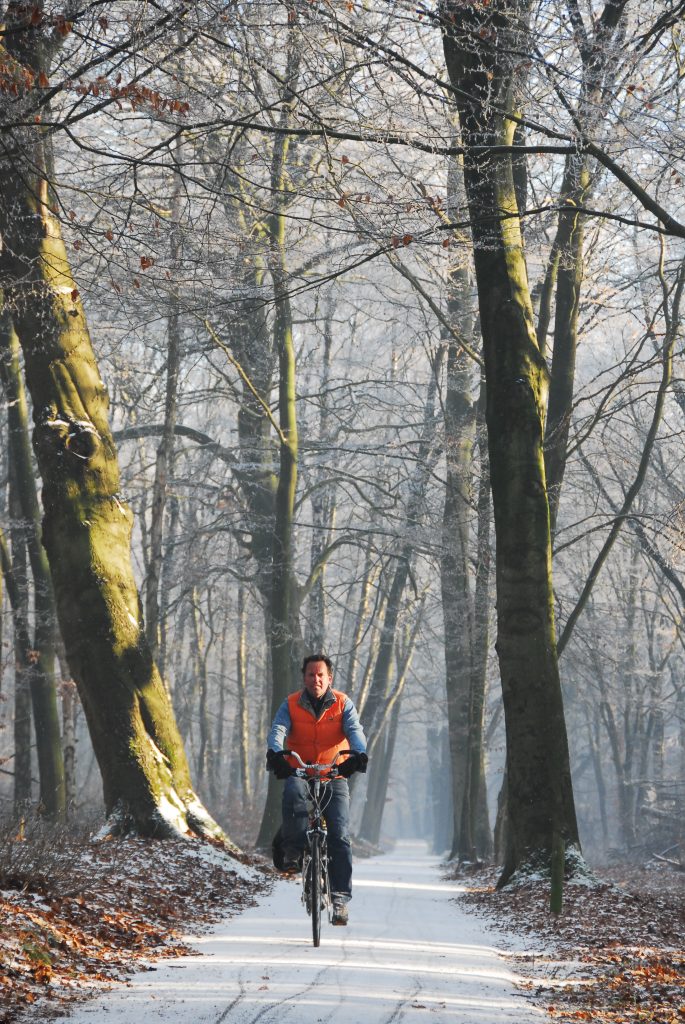 Fietsroute Hollansche Rading