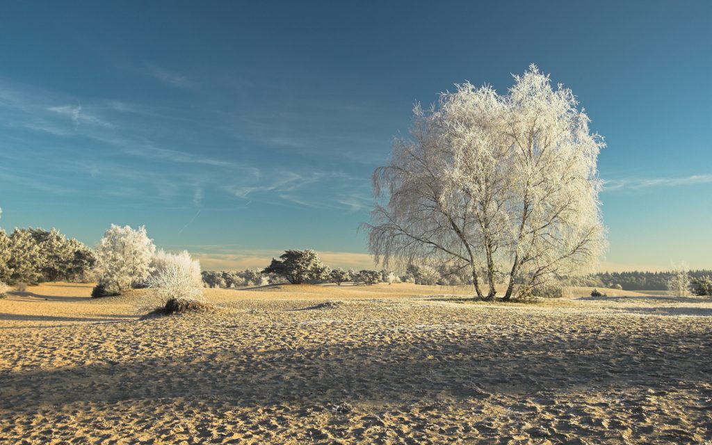 Fietsroute Hollandsche Rading