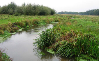 Route Oisterwijk – Mediteren tussen de herfstbladeren