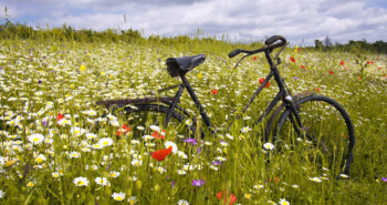 11 x quotes over de lente waar je spontaan van gaat fietsen