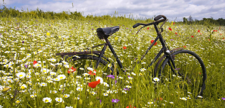 11 x quotes over de lente waar je spontaan van gaat fietsen