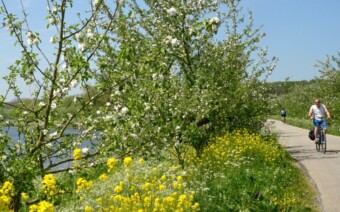 Bloesemfietstocht met bloeigarantie