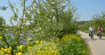 Bloesemfietstocht met bloeigarantie