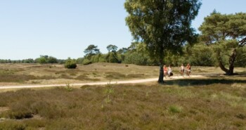 Lezersroute Oisterwijk– FietsActief nummer 2