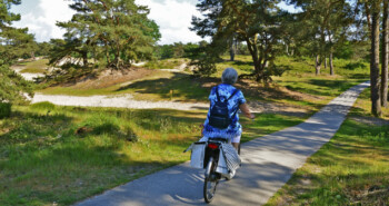 Route Den Dolder – Terug naar de essentie