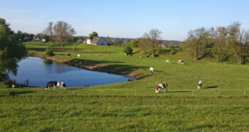 Route Appeltern – Slingeren langs Maas en Waal