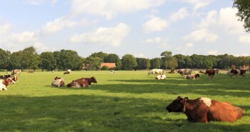 De Weekendetappe: Slinge & Berkel