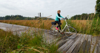 Route Grolloo – Blues op de heide