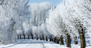 Route Elburg – Daarom moet je nu naar de Veluwe