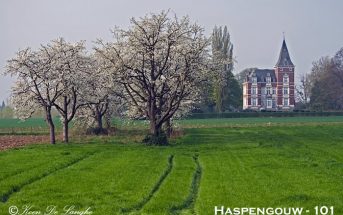 Fotogeniek Vlaanderen Haspengouw