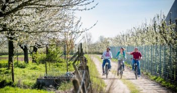 Bloesemfietsen in VlaamsBrabant- met nieuwe kunstroutes