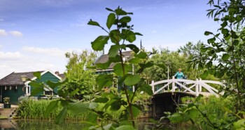 Route Aalsmeer – Fleur & Venijn