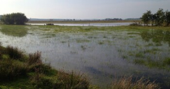 Route Burgh-Haamstede – Zie ze vliegen… in Zeeland