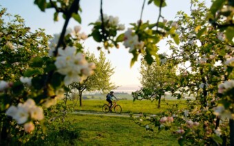10 tips: Zwitserland in de lente