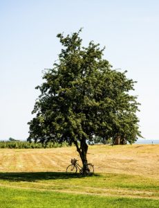 fietsen in de hitte