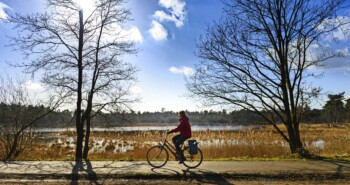 Route Eindhoven – Hip design, wilde heide