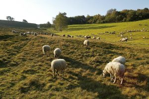 Fietsnetwerk Parkstad Limburg