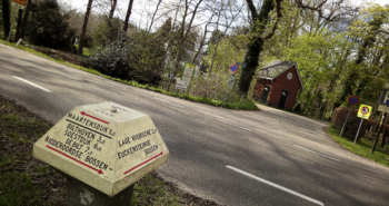 ANWB-paddenstoel 100 jaar!