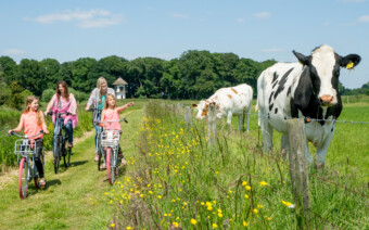 Boerderijenfietstocht: langs scholtegoederen in de Achterhoek