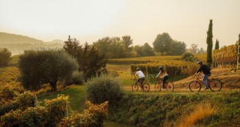 Bike + Wine: nieuwe wijnfietstocht in Ticino 