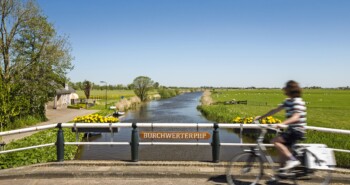 Route Workum – De koning van de weide