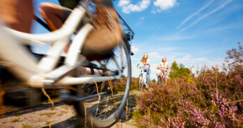 Tip: Leine-Heide-Radweg over de Lüneburger Heide