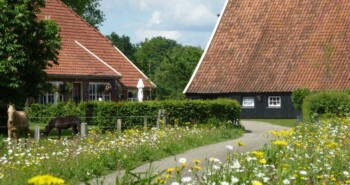 Fietsen bij Diepenheim: Gastenboerderij De Ziel