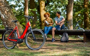 e-bike accu