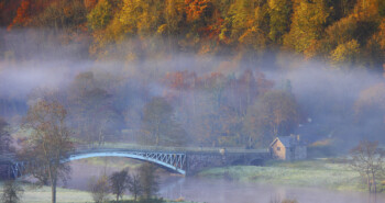Fietsen in de herfst? Ga naar het Forest of Dean