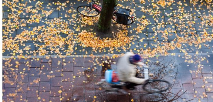 fietsen in het najaar