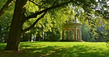 Herfst op de Heuvelrug: gratis fietsroute én restaurant tip