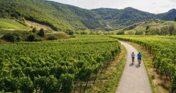 Duitsland themaland Fiets en Wandelbeurs 2020