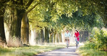 Editie 2/editie 3-2020 inclusief gratis streekgids Leuven & Hageland – een dubbeldik nummer!