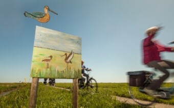 Vogelroute fietsen: het broedseizoen is begonnen!