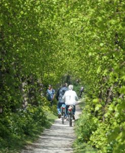 knooppuntenroute Garderen