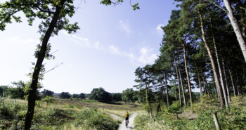 Route Heerlen – Van donkere mijn naar groene oase