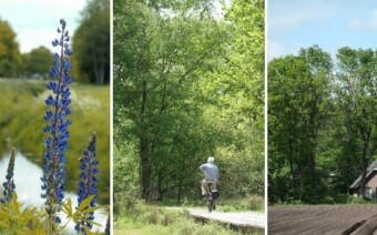 Tip: knooppuntenroute Assen – 47 of 67 km + route Assen – 54 km