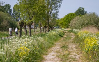 Fietsen in Brabant: 10 tochten met Vincent van Gogh als thema
