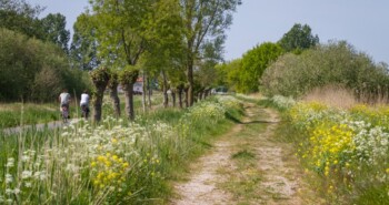Fietsen in Brabant: 10 tochten met Vincent van Gogh als thema