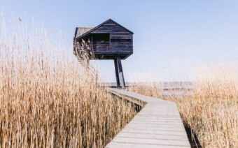 Win de jubilieumeditie van het boek De Graanrepubliek