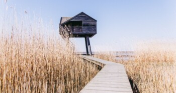 Win de jubilieumeditie van het boek De Graanrepubliek