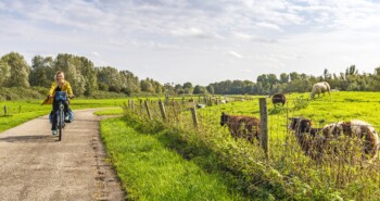 Route Rotterdam – Hippe hotspots