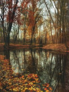 fietsen in de herfst