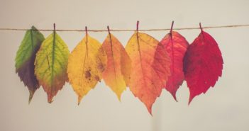 Outside is the best side! 5 redenen om te fietsen in de herfst fietsen in de herfst