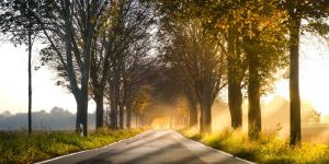 fietsen in de herfst