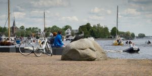 fietsen in Friesland