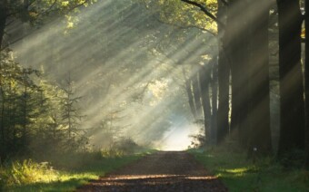‘Outside is the best side!’ 5 redenen om te fietsen in de herfst