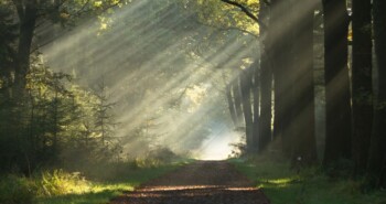 ‘Outside is the best side!’ 5 redenen om te fietsen in de herfst