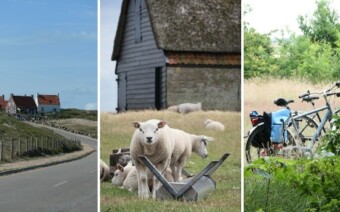 Tip: knooppuntenroute Texel – 31, 49 of 67 km vol vogelhotspots