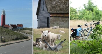 Tip: knooppuntenroute Texel – 31, 49 of 67 km vol vogelhotspots
